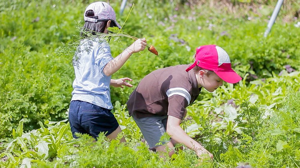 투-쳉 레저 팜 호텔 터우청 외부 사진